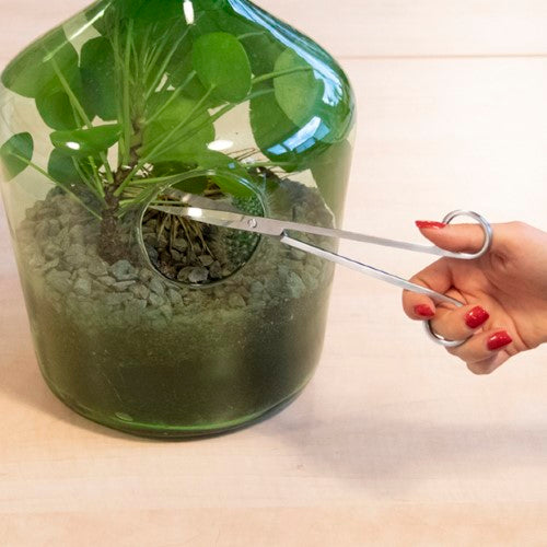 Terrarium Scissors - 25cm (Set of 3)