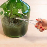 Terrarium Scissors - 25cm (Set of 3)