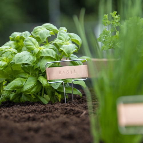 Plant Label Stamp Set - DIY