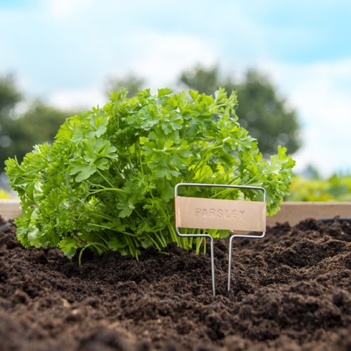 Plant Label Stamp Set - DIY