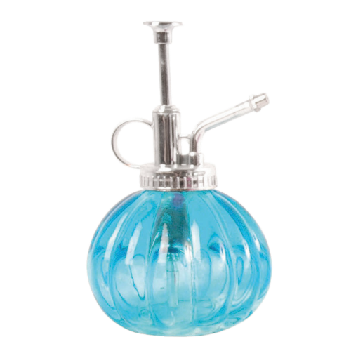 Mister Plant Sprayer (Set of 12 Assorted)