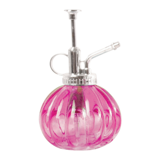 Mister Plant Sprayer (Set of 12 Assorted)