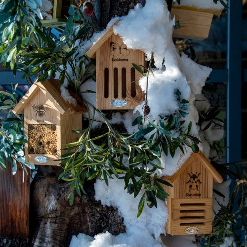 Bee House W/Bee Apoidea - 23cm (Set of 3)