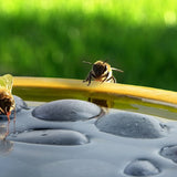 Bird Bath - Bee and Butterfly