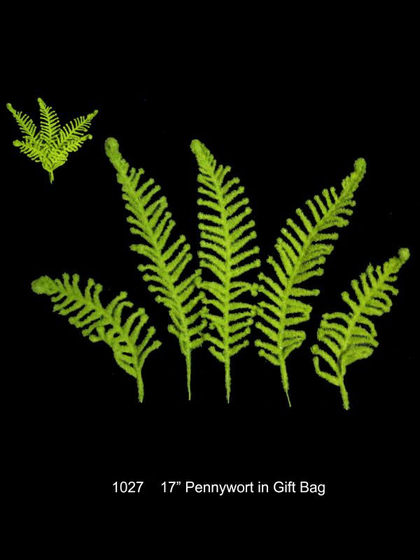 Fern â€“ Pennywort 43cm