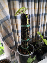 Durable 170mm x 60mm black moss tube for effective plant propagation and soil stabilization in any garden.