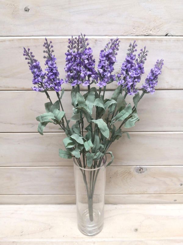 Lavender – Large English Lavender Bush  Lavender