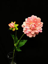 Dahlia – Small Dahlia W/Bud  Mauve Pink