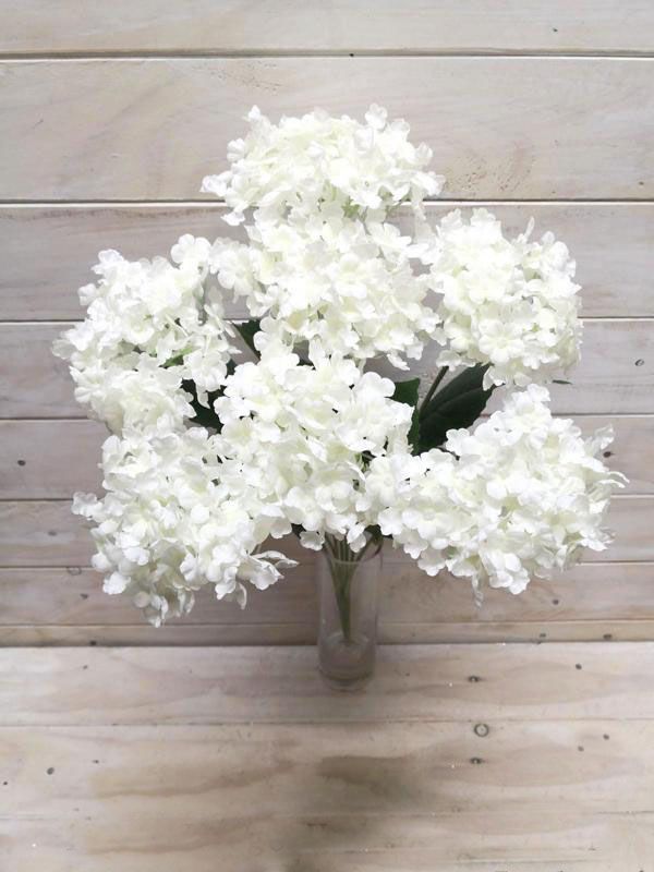 Hydrangea â€“ White Hydrangea Bush