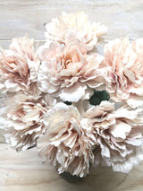 Peony â€“ Large Pale Pink Peony Bush