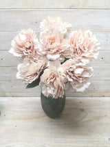 Peony â€“ Large Pale Pink Peony Bush