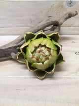 Artichok – Artichok Head