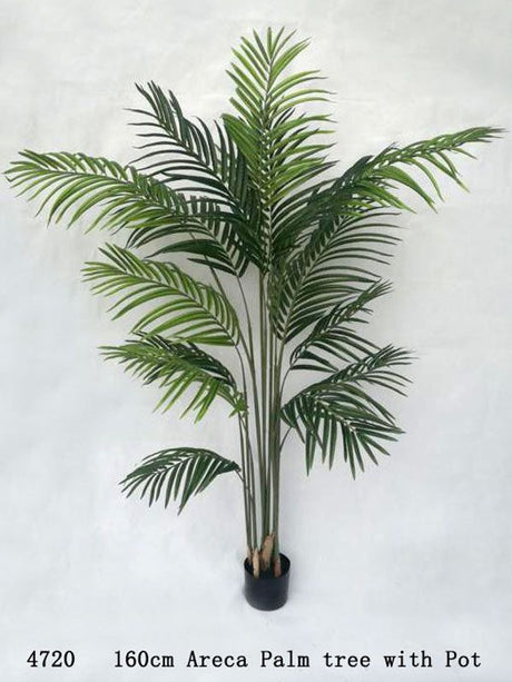 Lifelike 160cm Areca Palm Tree in a stylish white pot, perfect for low-maintenance tropical home decor.