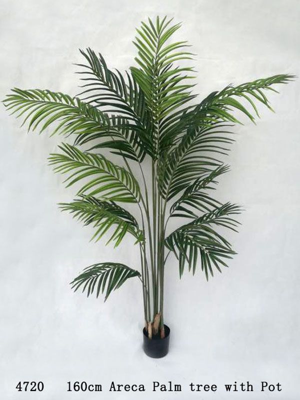 Lifelike 160cm Areca Palm Tree in a stylish white pot, perfect for low-maintenance tropical home decor.