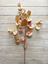 Eucalyptus – Round Eucalyptus Spray  Vintage Green