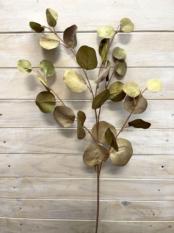 Eucalyptus – Round Eucalyptus Spray  Vintage Green