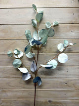 Eucalyptus – Round Eucalyptus Spray  Vintage Green