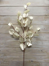 Eucalyptus – Round Eucalyptus Spray  Vintage Green