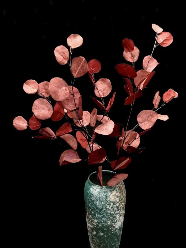 Eucalyptus – Round Eucalyptus Spray  Vintage Green