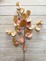 Eucalyptus – Round Eucalyptus Spray  Vintage Green