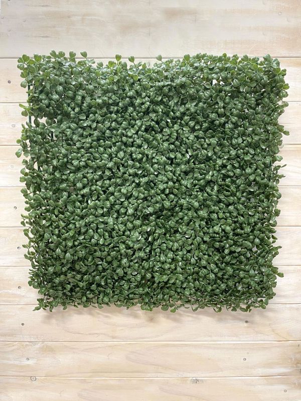 UV protected boxwood mat measuring 50 x 50 cm, ideal for enhancing indoor and outdoor spaces with vibrant greenery.