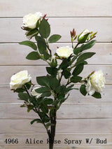 Rose – Alice Rose Spray with Buds x 7  White