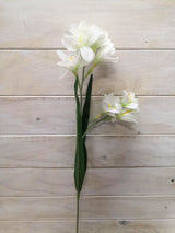 Freesia â€“ Real Touch Freesia