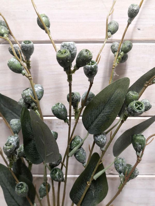 Berry – Eucalyptus Nut Bundle x 3  Green