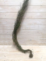 Lifelike 125cm brown twig bundle with soft moss accents, perfect for enhancing home decor in any light.