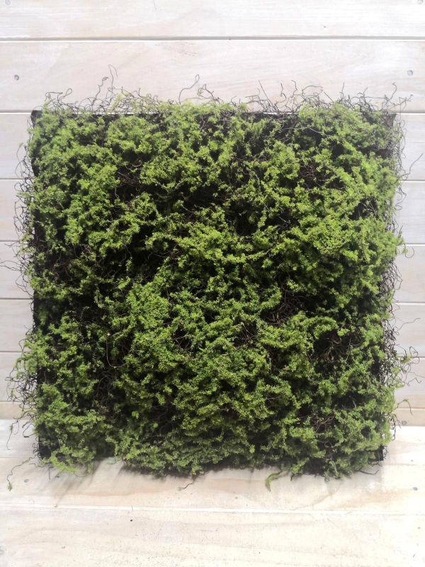 50 x 50cm Thick Twig Moss Mat, realistic faux moss perfect for low-light spaces, adding vibrant, maintenance-free greenery.