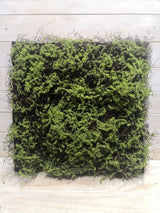 50 x 50cm Thick Twig Moss Mat, realistic faux moss perfect for low-light spaces, adding vibrant, maintenance-free greenery.