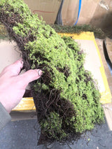 Realistic 50 x 50cm Thick Twig Moss Mat, perfect for low-light decor, maintenance-free greenery, and creative installations.