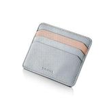Sheaffer 100 Expressions Gradient Ballpoint Pen & Card Holder