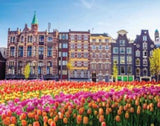 Mindbogglers 1000pc Jigsaw - Amsterdam NLD