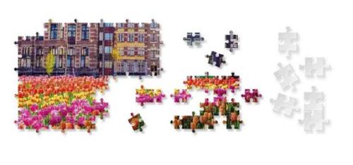 Mindbogglers 1000pc Jigsaw - Amsterdam NLD