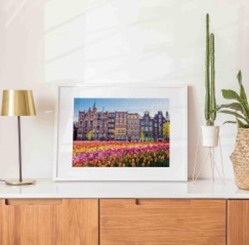 Mindbogglers 1000pc Jigsaw - Amsterdam NLD