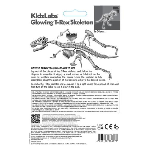 Glowing T-Rex Skeleton