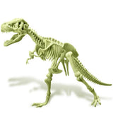 Glowing T-Rex Skeleton