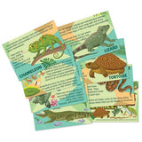 Mould & Paint Reptile & Amphibian