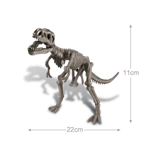 STEAM/Dinosaur World