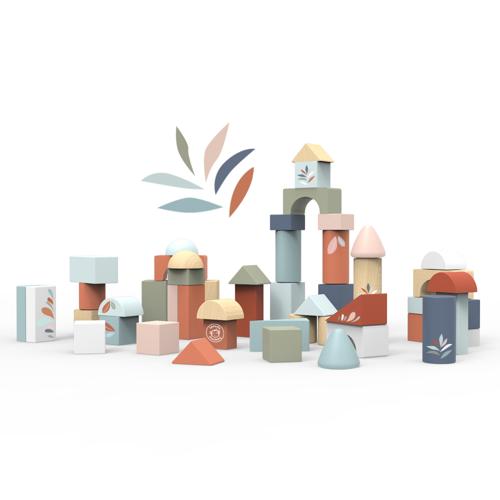 Building Blocks (50pcs) with shape sorter