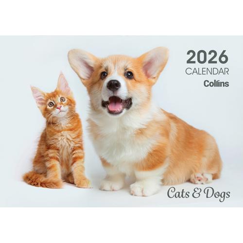 Collins Wall Calendar A4 Cats & Kittens 2026