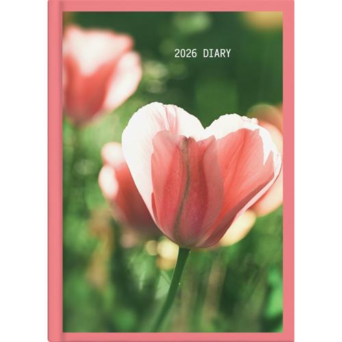 Collins A51 Floral DTP Diary 2026