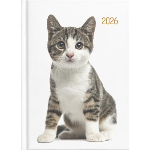 Collins A51 Cats & Dogs DTP Diary 2026
