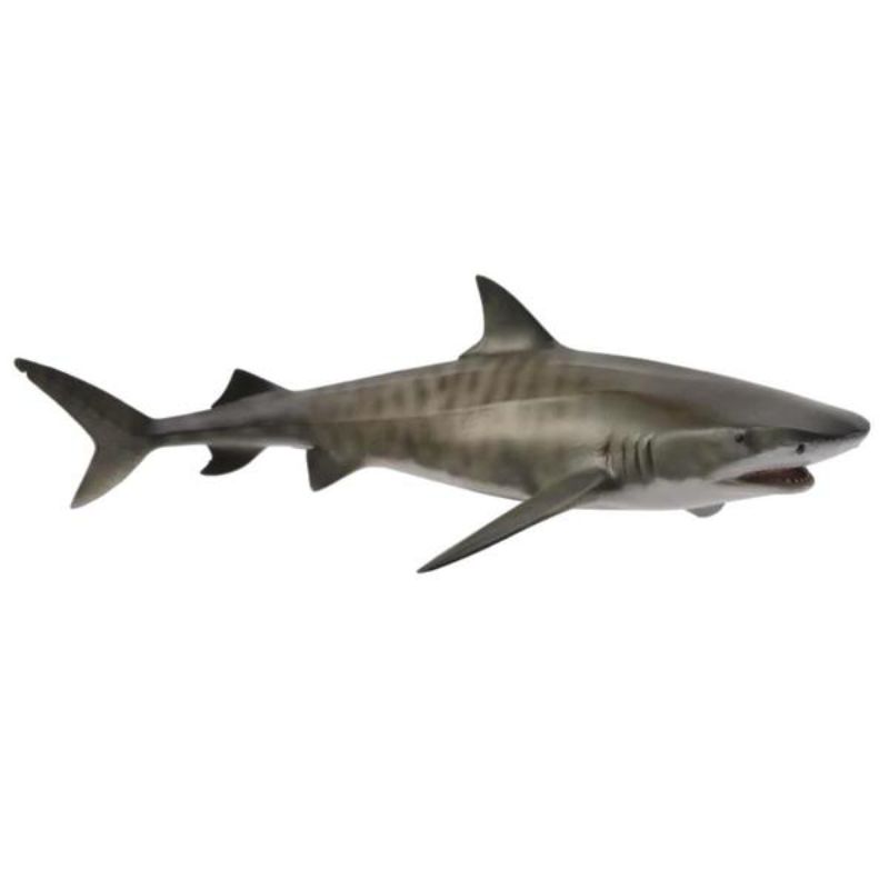 CollectA Tiger Shark