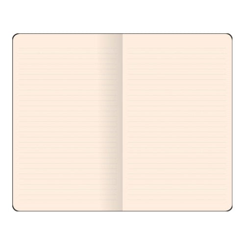 Flexbook Smartbook Notebook Pocket Ruled Pink/Green