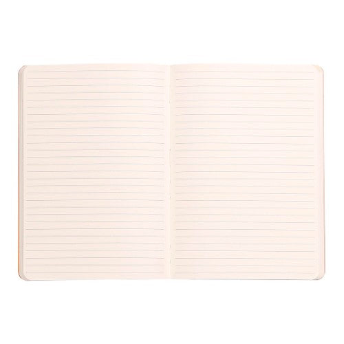 Rhodiarama Softcover Notebook A5 Lined Silver