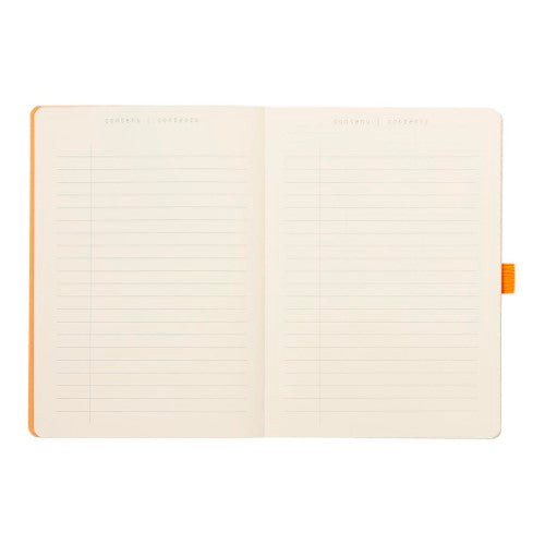 Rhodiarama Goalbook A5 Dotted Silver