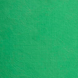 BLOCKX Oil Tube 20ml S5 565 Phtalo Green