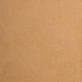 BLOCKX Oil Tube 35ml S1 146 Brown Ochre Light